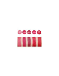 Avril Crayon Rouge à Lèvres Bio 2g -Beauté Soldes avril crayon rouge levres bio 2g 2